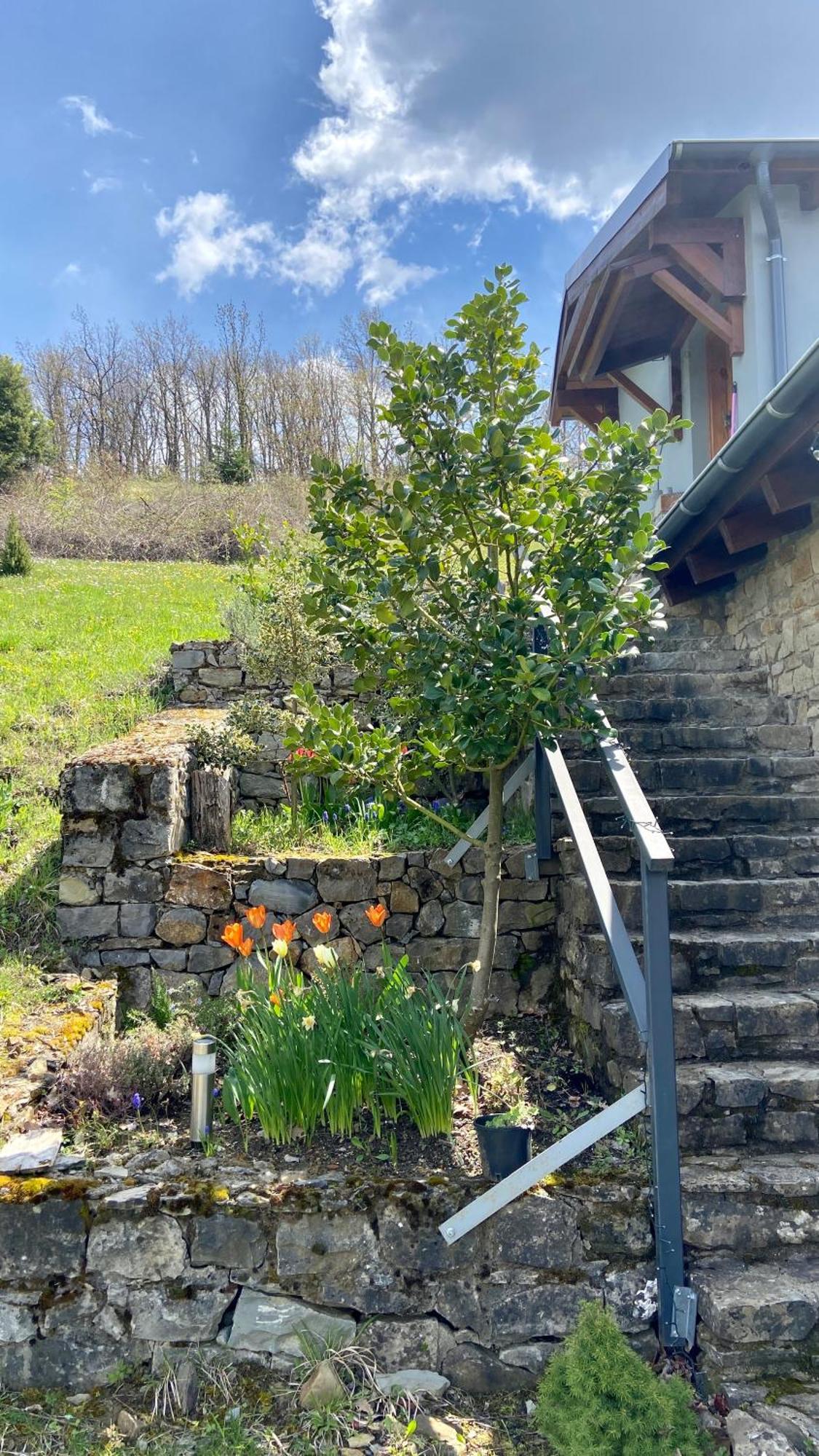 Little Garden Cabin Perivolaki 外观 照片